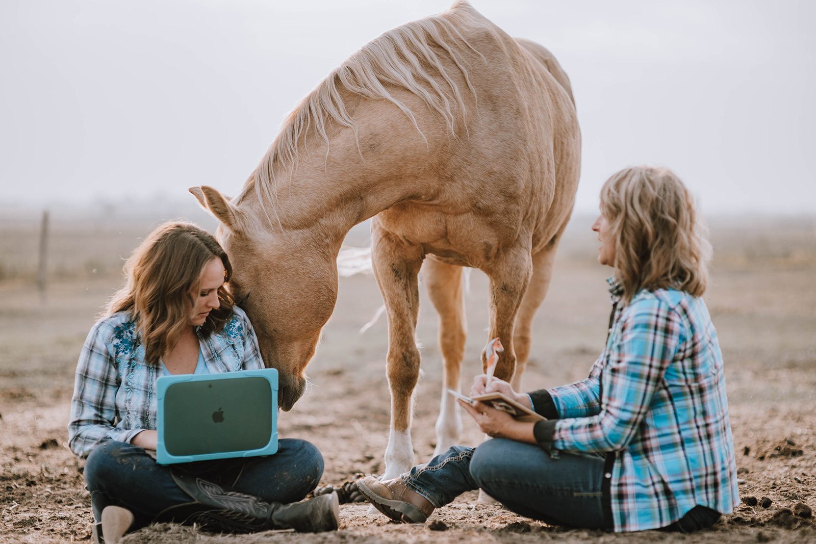 What Do Your Horses Want You to Know?