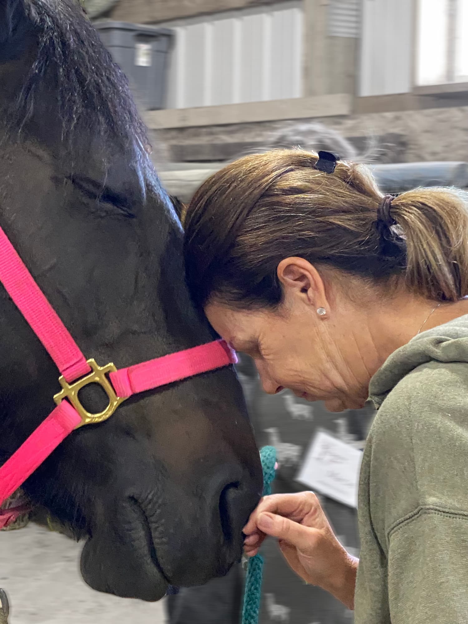 Why Your Clients Feel Stuck… and How Horses Help Them Move Forward
