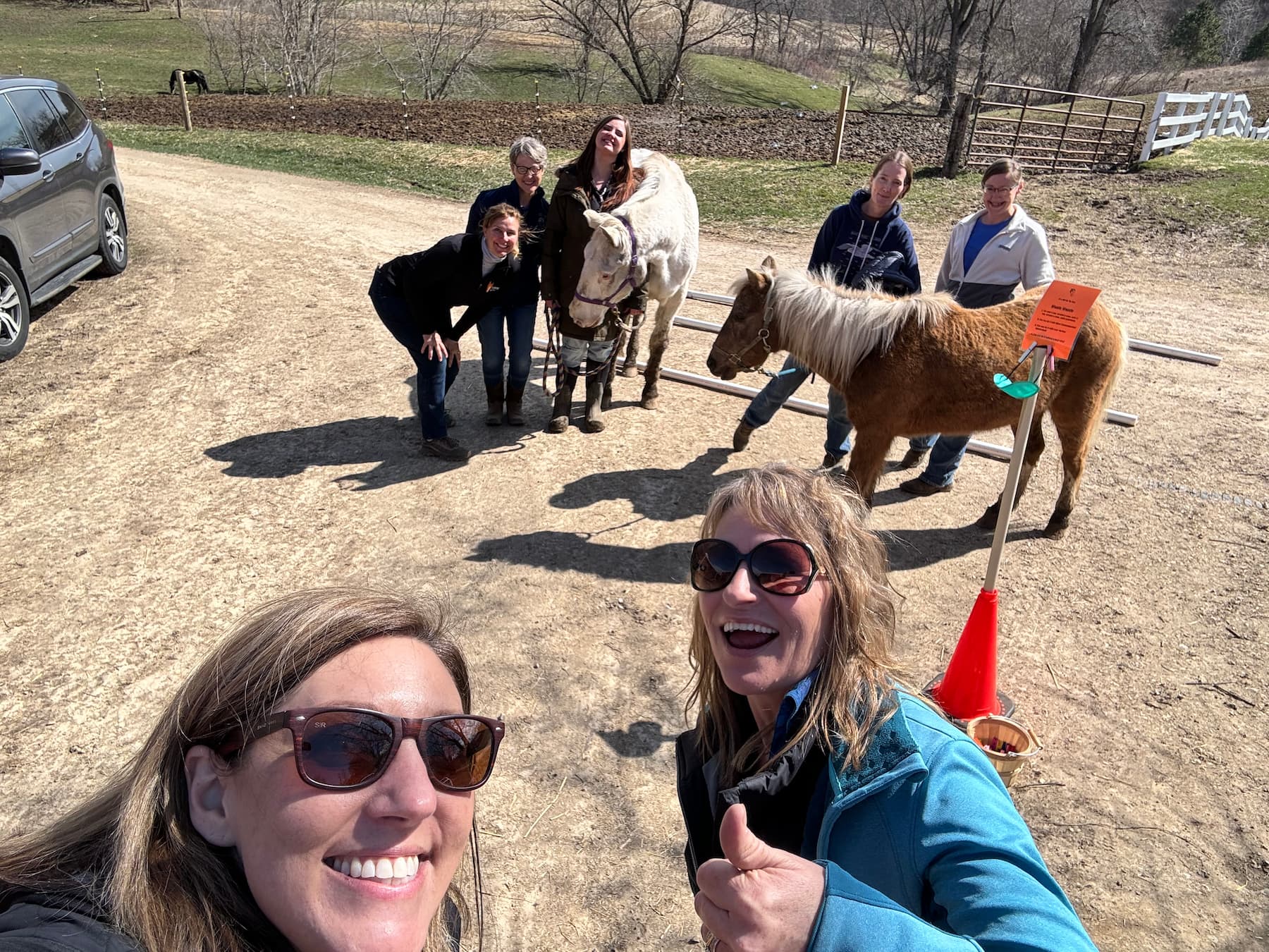 5 Things People Think Will Happen During Equine Assisted Learning... But Usually Don't! 