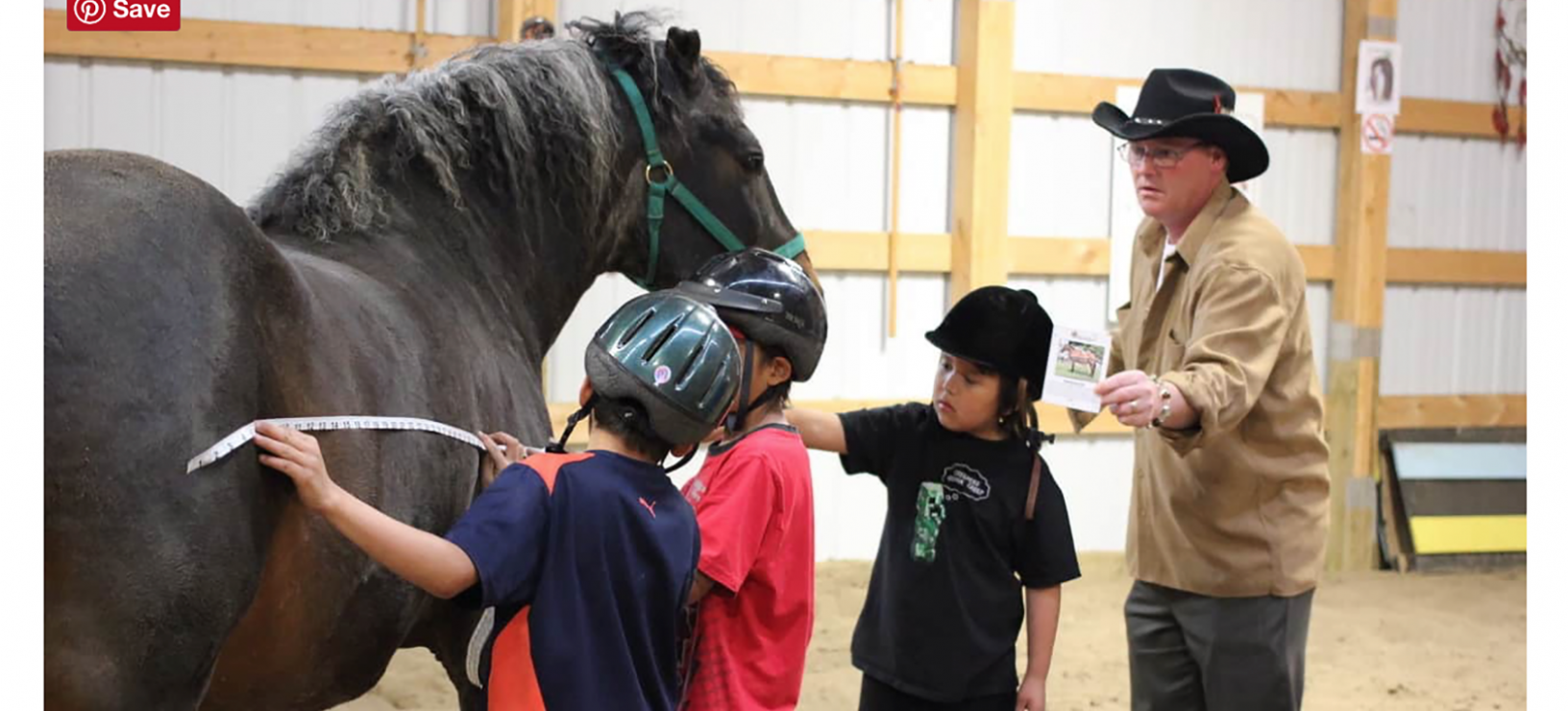 Western Horse Review Article